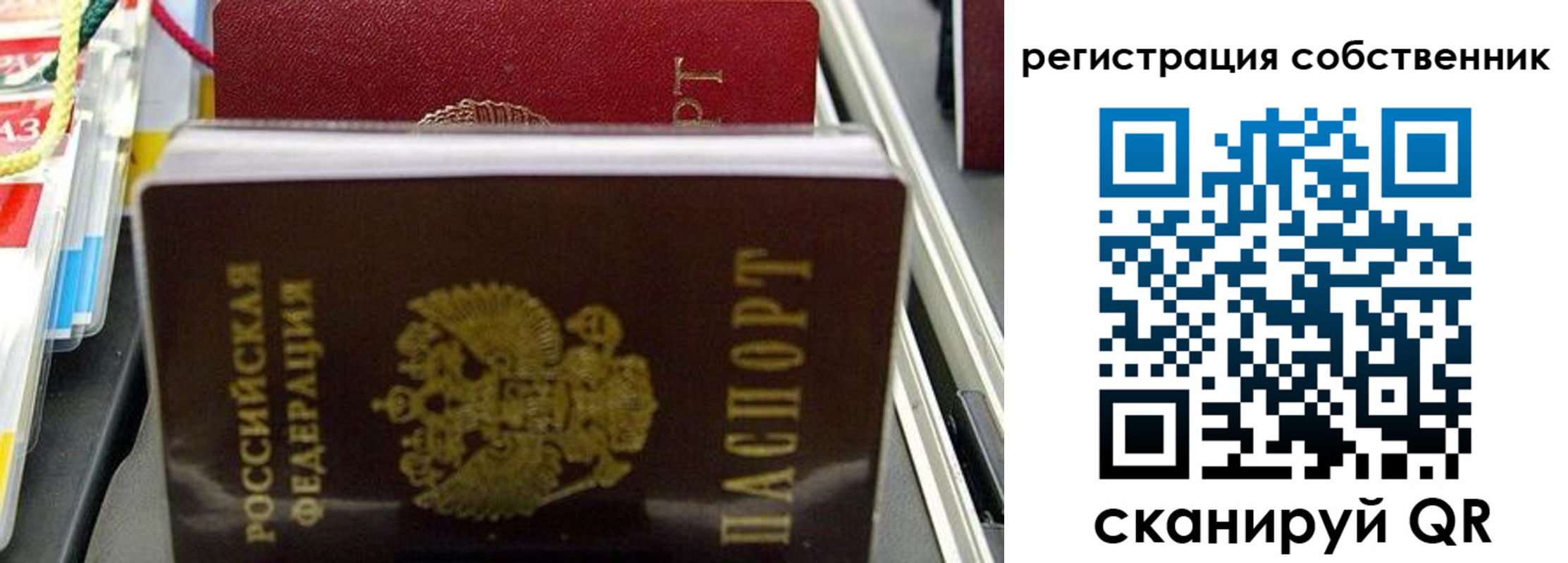 временная регистрация поиск в Камышине